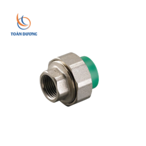 RẮC CO GIÃN REN TRONG  RẮC CO GIÃN REN TRONG